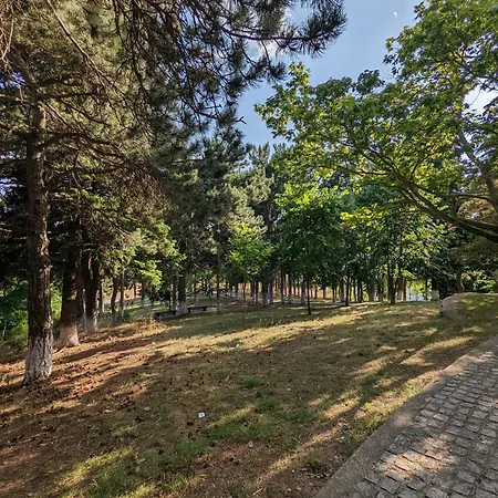 Mitikas Hotel